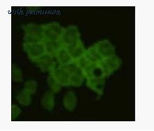 MyBioSource MBS355200 image 2
