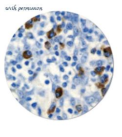 MyBioSource MBS370119 image 2