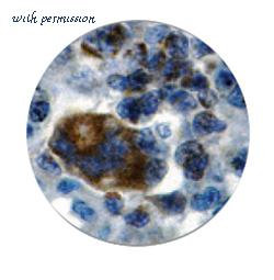 MyBioSource MBS370130 image 2