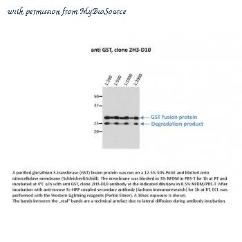 MyBioSource MBS375102 image 1