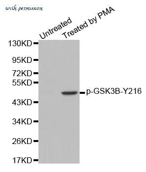 MyBioSource MBS4153005 image 1