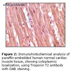 MyBioSource MBS418382 image 2