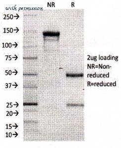 MyBioSource MBS4380150 image 2
