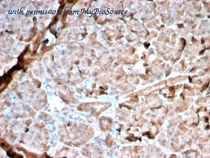 MyBioSource MBS4380759 image 1