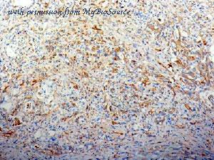 MyBioSource MBS438210 image 1