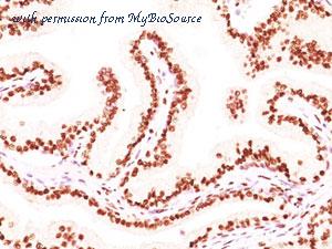MyBioSource MBS438516 image 1