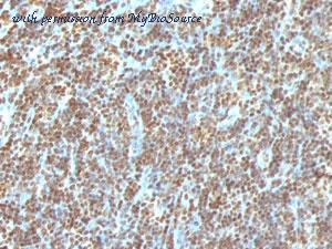 MyBioSource MBS438718 image 1