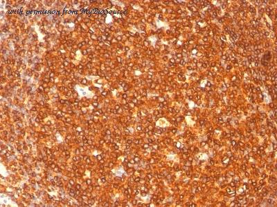 MyBioSource MBS438770 image 1