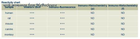 MyBioSource MBS448005 image 1