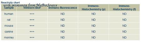 MyBioSource MBS448116 image 1