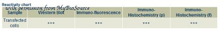 MyBioSource MBS448122 image 1