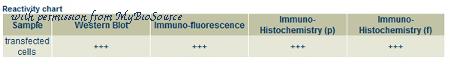 MyBioSource MBS448126 image 1