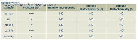 MyBioSource MBS448127 image 1