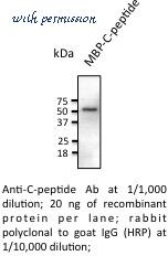MyBioSource MBS448127 image 2