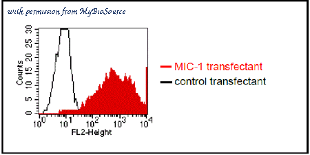 MyBioSource MBS468032 image 1