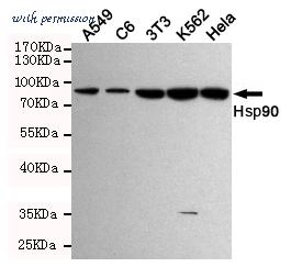 MyBioSource MBS475175 image 1