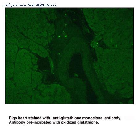 MyBioSource MBS485062 image 3