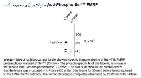 MyBioSource MBS502189 image 1