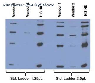 MyBioSource MBS525001 image 2