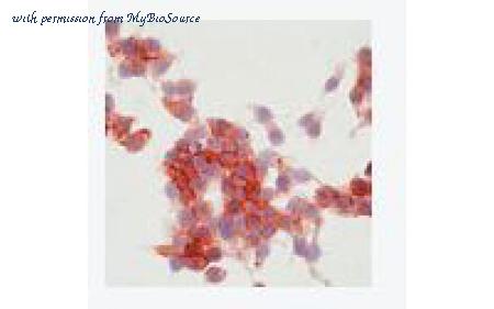 MyBioSource MBS530687 image 1