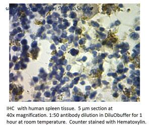 MyBioSource MBS540526 image 2
