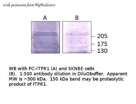 MyBioSource MBS541925 image 1
