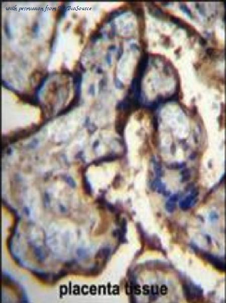 MyBioSource MBS6011589 image 2