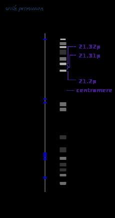 MyBioSource MBS603207 image 1