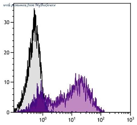 MyBioSource MBS604218 image 1
