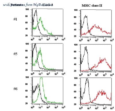 MyBioSource MBS609777 image 2