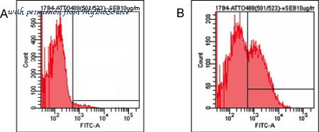 MyBioSource MBS609777 image 3