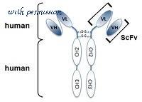 MyBioSource MBS636455 image 2
