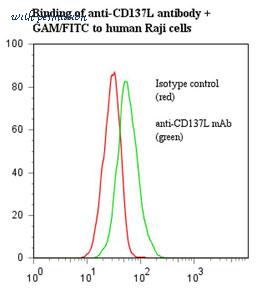 MyBioSource MBS666242 image 1