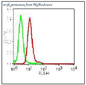 MyBioSource MBS668020 image 3