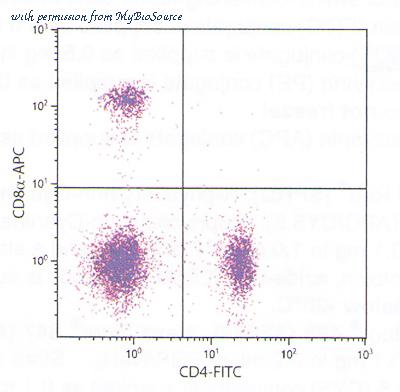 MyBioSource MBS673187 image 1