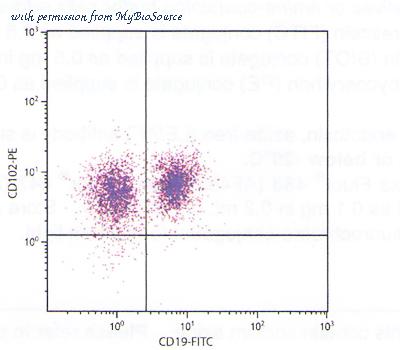 MyBioSource MBS673723 image 1
