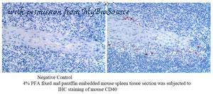 MyBioSource MBS690527 image 1