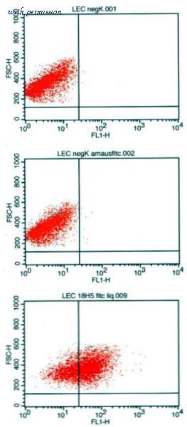 MyBioSource MBS690680 image 1
