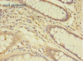 MyBioSource MBS7002939 image 2