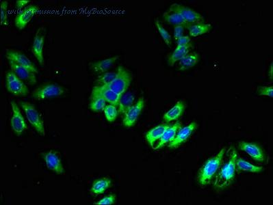 MyBioSource MBS7003196 image 2