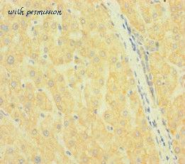 MyBioSource MBS7044112 image 2