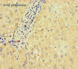 MyBioSource MBS7044112 image 3