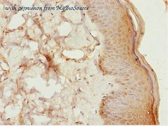 MyBioSource MBS7045994 image 2