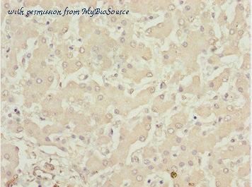 MyBioSource MBS7045994 image 3