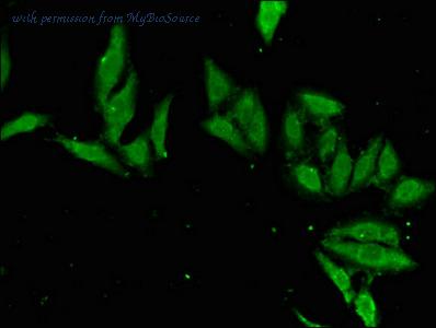 MyBioSource MBS7048101 image 3