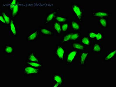 MyBioSource MBS7050265 image 3