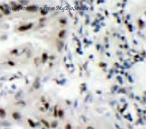 MyBioSource MBS7600621 image 1
