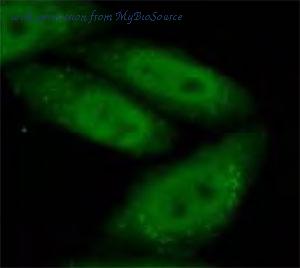 MyBioSource MBS7600621 image 2