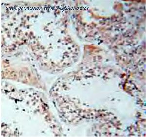 MyBioSource MBS7600999 image 1