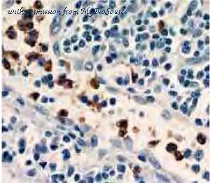 MyBioSource MBS7602041 image 1